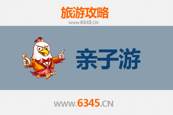 威海荣成亲子游攻略：带娃邂逅海鸥与天鹅的梦幻之旅